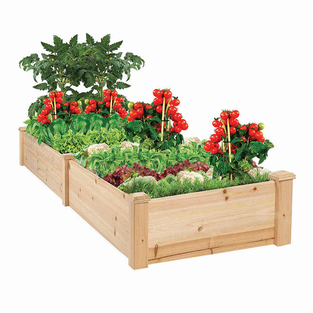 2-compartment tree planter-0